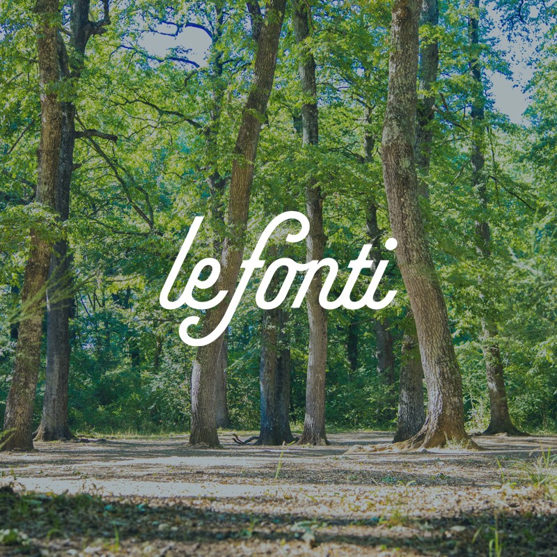 Le Fonti logo